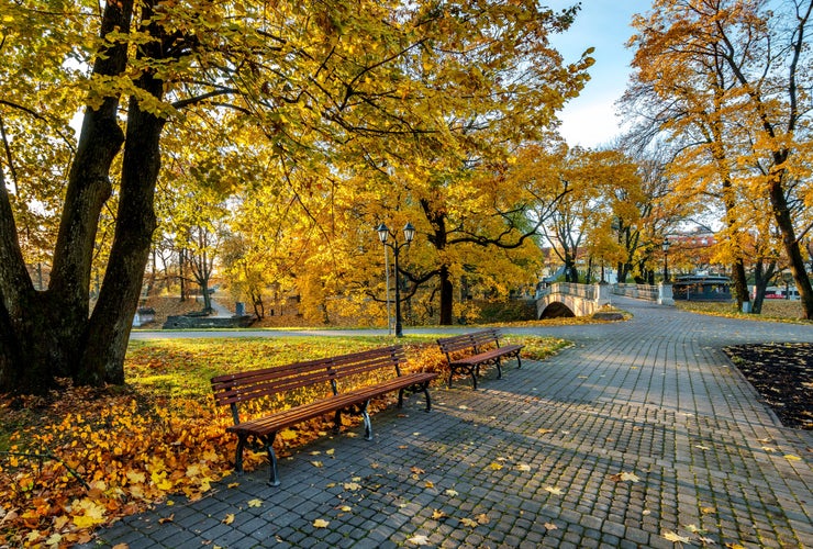 shutterstock_2390041293.jpg