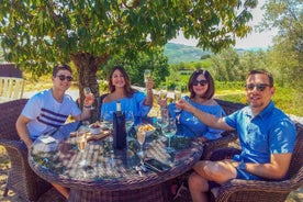 Premium Private Douro Tour: 3 viinitilaa maistiaisilla ja lounaalla