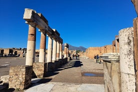 Pompei: Private tour from the Amalfi Coast