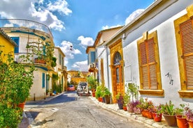 Half-Day Private Tour of Nicosia