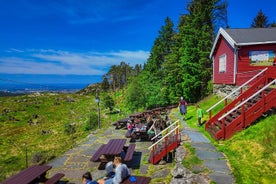 Visite panoramique de Steinsfjellet, des habitants de Kringsjå et de Rising Tide