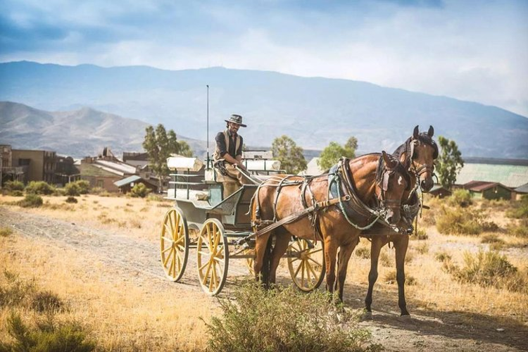 A horse-drawn carriage moves along a dusty path in Fort Bravo, a Western-themed desert with mountains and old buildings..png