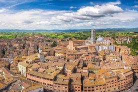 Excursão para grupos pequenos de vinho de Siena e San Gimignano e Chianti saindo de Lucca