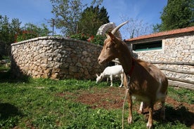 Excursion à vélo en montagne sur l'île de Korcula