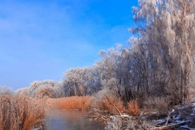 Halve dag fototour in het nationale natuurpark Zalissya