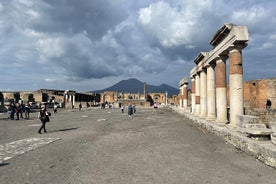 庞贝古城和维苏威火山之旅，从波西塔诺品尝午餐葡萄酒