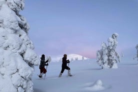 Levi: Pallas-Yllästunturi National Park Snowshoeing Tour