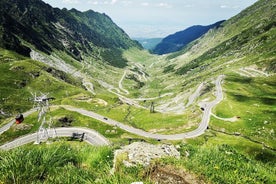 Wild Brown Bears e Top Gear Road, grupo pequeno com no máximo 8 passageiros