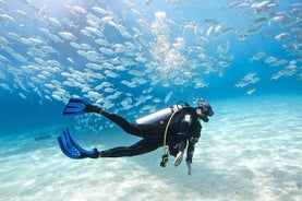 Fethiye Scuba Diving - with Professional Instructor