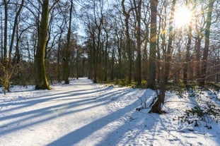 Sechs-Seen-Platte