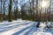 photo of view of A walk at te recreation area Sechs-Seen-Platte in Duisburg Wedau on a sunny and cold winter day, Duisburg, Germany.