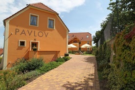 Hotel Pavlov