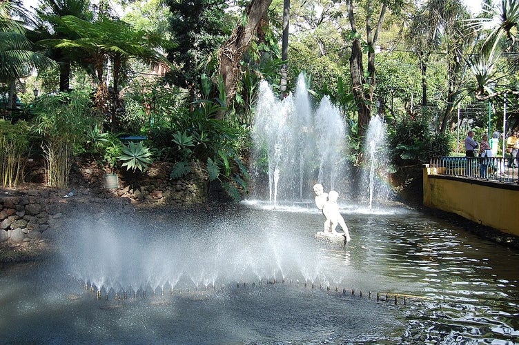 Jardim_Municipal_-_Funchal.jpg