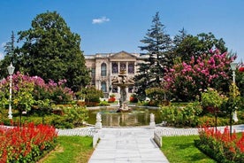 True Discovery: tour di un'intera giornata e crociera di Istanbul