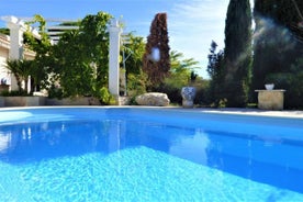 Magnifique villa l'Ibis pour 8 personnes, piscine, clim, parc et parking