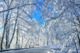 Diversão de inverno para famílias: Sabaduri, Ananuri, Gudauri Adventure