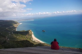 Südlich der Wunder Lissabons – Private Tour durch Arrábida, Wein und Fliesen