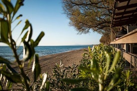 Ancienne Olympie et plage de Kourouta - Visite tout compris