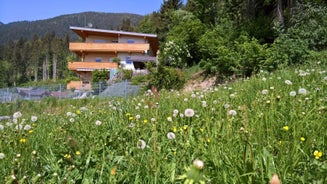 Holiday Home Zillertal - Haus Gigl