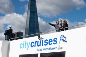 River Thames One-Way Sightseeing Cruise 