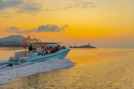 Dolphin watching by boat