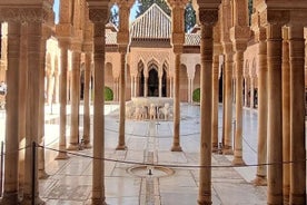 Excursão com guia de áudio por Alhambra, Generalife e Palácio Nasrid