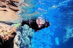 Met een kleine groep drysuit-snorkelen in Silfra - GRATIS foto's 