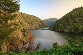 Photo of Ourense city with bridge and river Minho in Spain.