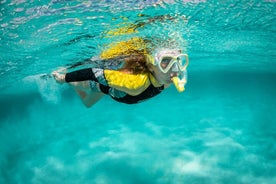 Buceo de superficie en Punta de San Lorenzo, Baia D'Abra.