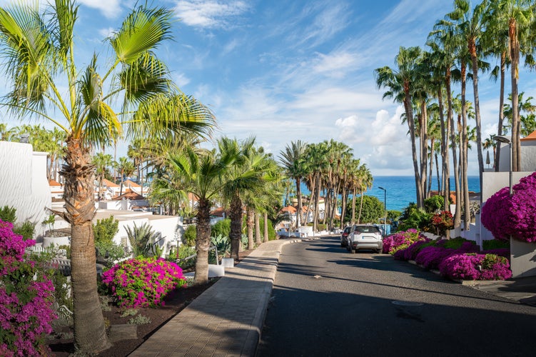 Photo of Costa Calma, Fuerteventura: lush palm-lined avenues and vibrant blooms frame a tranquil resort town, Spain.