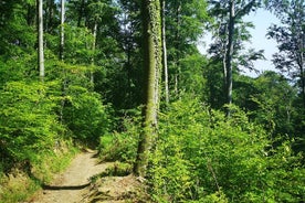 地元のような知覚ザグレブ -  Medvednica Nature Parkハイキング