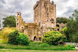 Blarney Castle and The Rock of Cashel with Private Chauffeur Tour