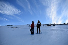 Vandring med snöskor i Sierra Nevada (Granada)