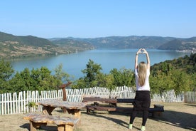 Excursión privada de un día a Iron Gate Gorge y a la fortaleza de Golubac