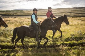 La experiencia de montar a caballo vikingo en el norte de Islandia