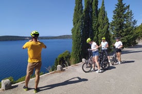 Tour en bicicleta eléctrica dividida