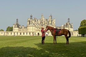 Wine tasting tour in Loire Valley with castle visits and lunch