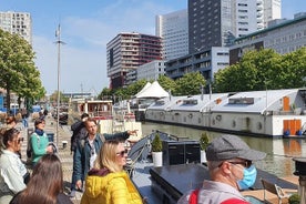 Private Walking Tour of Rotterdam With Local