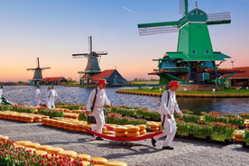 From Amsterdam; Alkmaar Cheese market & Zaanse Schans