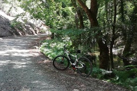 Verken het bos van Paphos met e-mountainbikes