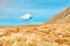 소규모(8-15) 그룹의 개인 Ålesund Trollstigen-Trollroad