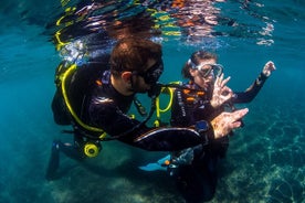 Scuba Diving Baptism Experience in Santa Cruz Tenerife