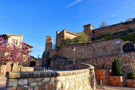 Tour privato di Alquezar da Saragozza