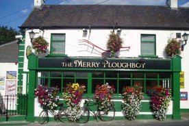 Dublin: Írskt kvöldsýning á Merry Ploughboy Pub