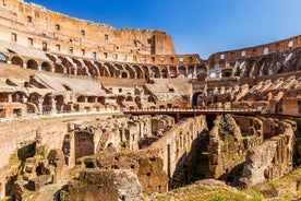 Rome: Colosseum, Palatine Hill & Roman Forum Private Tour