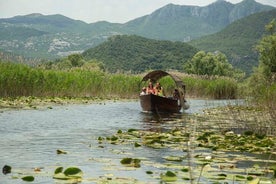 Paseo en bote por el Parque Nacional del Lago Skadar y recorrido por el casco antiguo de Budva