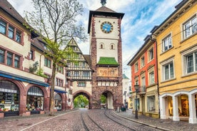 Freiburg: Guided Old Town Walking Tour