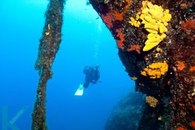 Descubra o Mergulho na Caldeira do Vulcão em Santorini