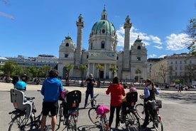 Liten grupprundtur i Wien på cykel