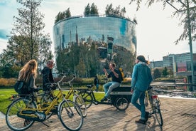 Classic Rotterdam Highlight Bicycle Tour by a Local